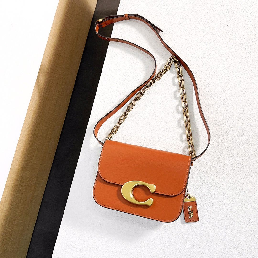 新品未使用COACH CM557 アイドルコレクション メタルチェーン付き  