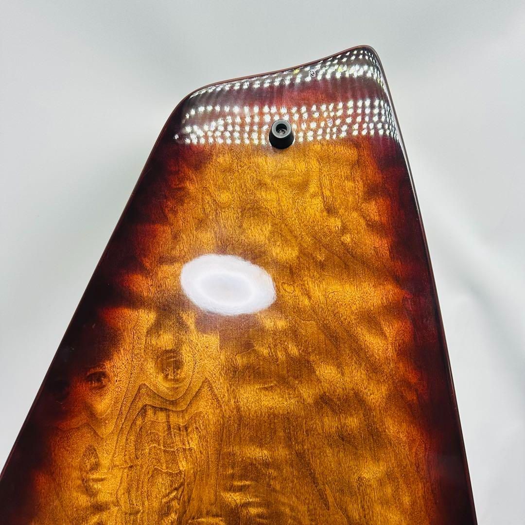 弦楽器 ハードケース付き