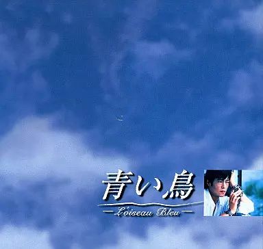 青い鳥 青い鳥 BOXセット〈6枚組〉 DVD BOXセット〈6枚組〉