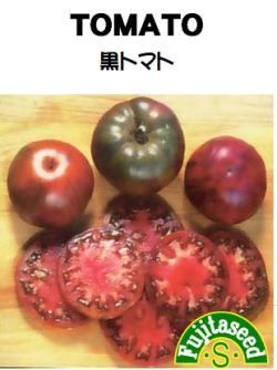 ＜野菜の種＞黒トマト　２０粒　ブラック　たね-0