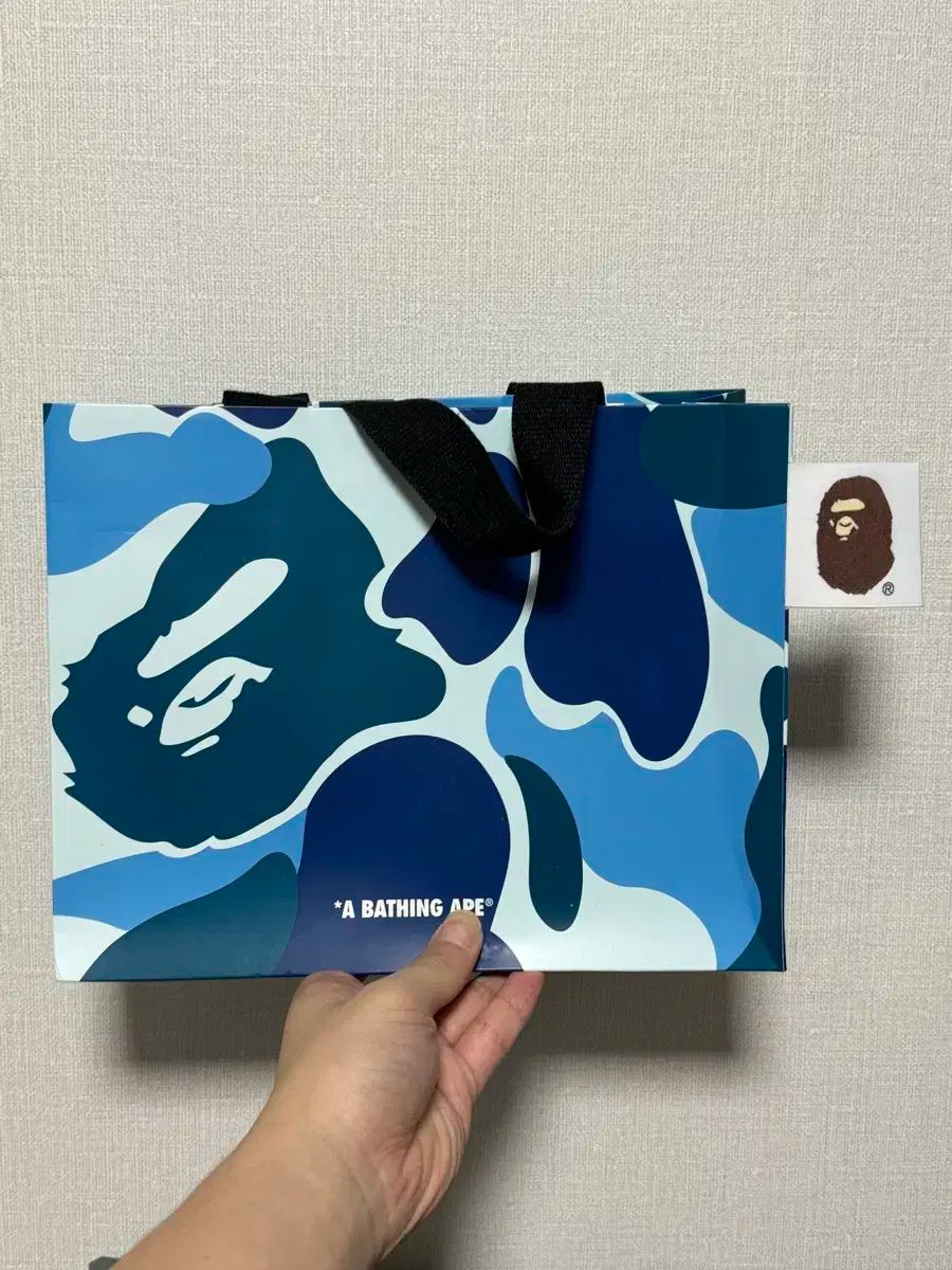 A BATHING APE(アベイシングエイプ) 迷彩 プリント ミニ メッセンジャーバッグ