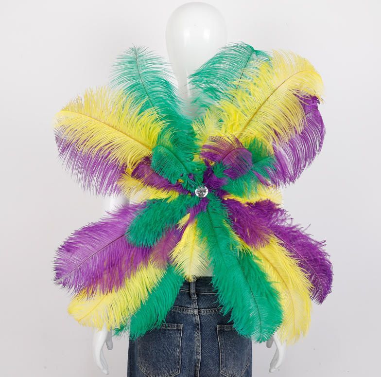 の羽の羽カーニバルの衣装 の衣装仮装パーティの 卒業シーズンのプレゼントです