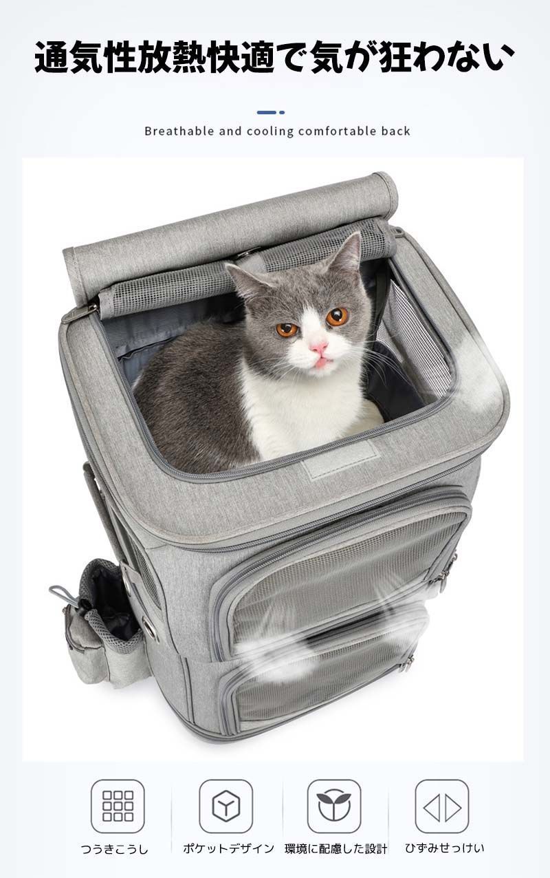 小型犬 猫