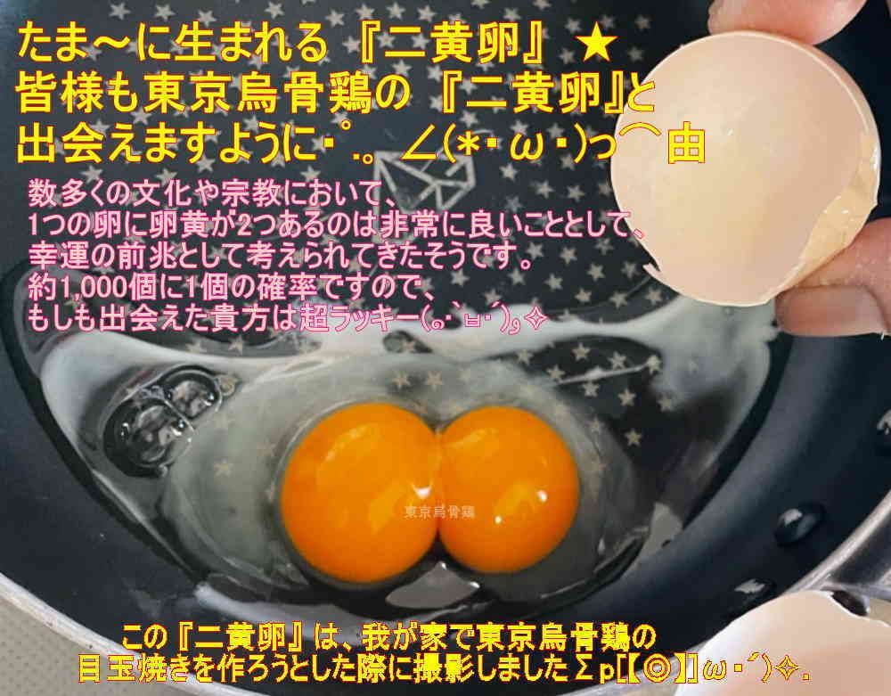 東京烏骨鶏 烏骨鶏 20個 有精卵 放し飼い 洗浄済み 送料無料