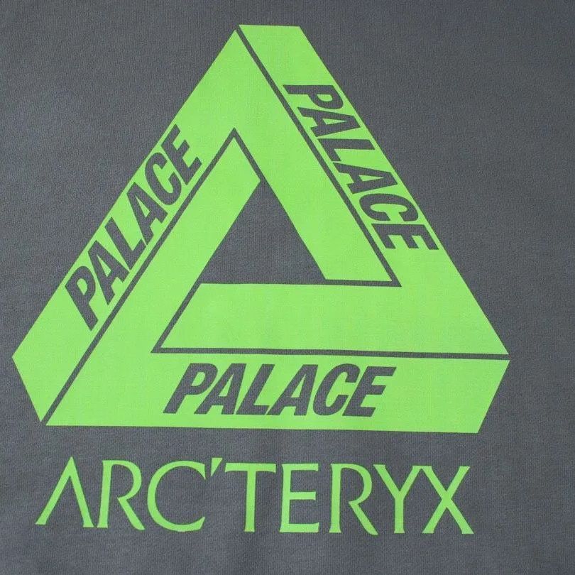 ARCTERYX  PALACE アークテリクス 共同ブランド 半袖  フード付きベスト 男女兼用  トップス メンズ レディース  カジュアル ファッション春 夏 秋 #som041