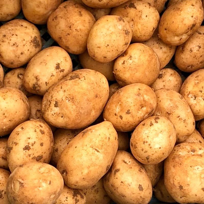 20kg