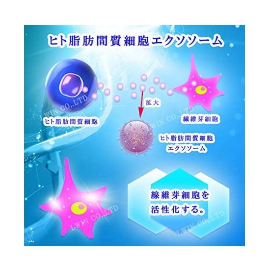 SCJ クリーム 幹細胞 培養液 Cream Stem Cell SCJ クリーム 幹細胞 培養液 Cream Stem Cell Culture Solution - メルカリ