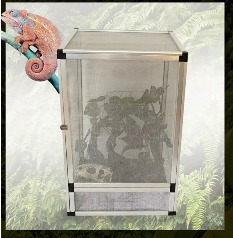 爬虫類 自作