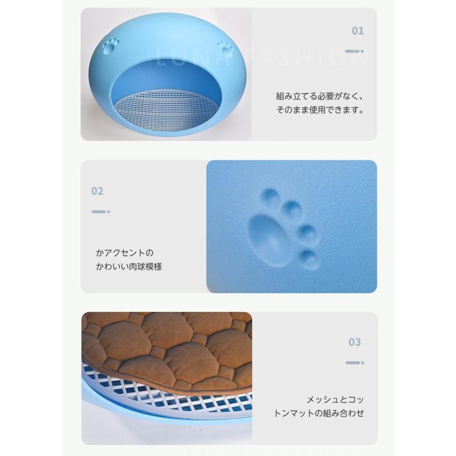 ハウス 夏