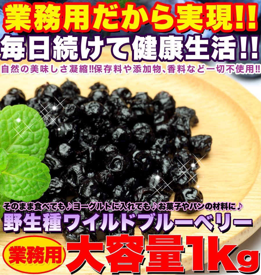 野生種★ワイルドブルーベリー大容量１ｋｇ≪常温≫SM00010048