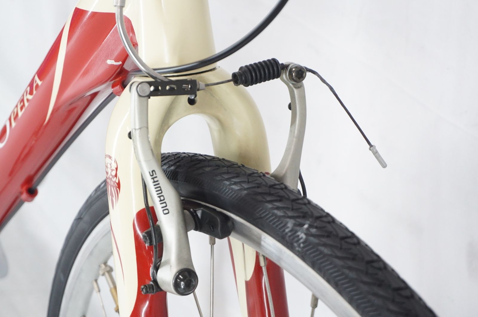 CARAVAGGIO 2010年頃