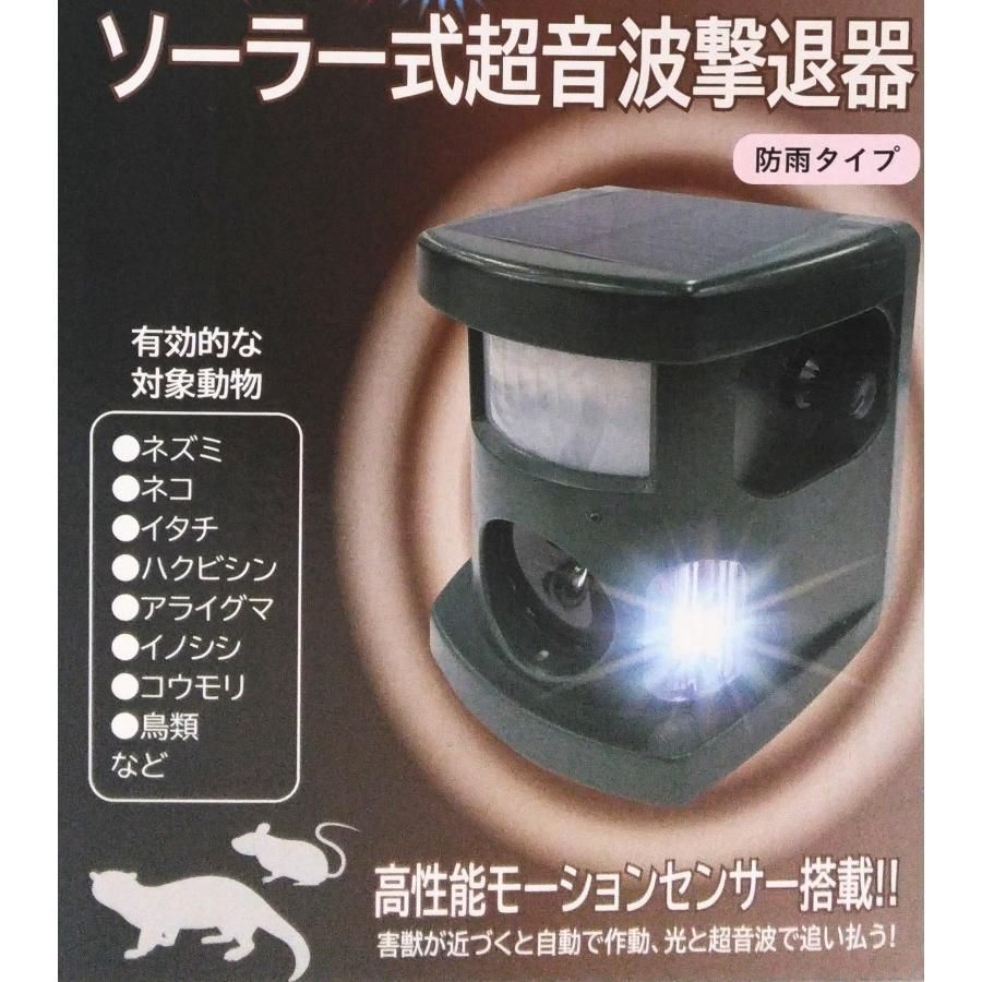 ハクビシン