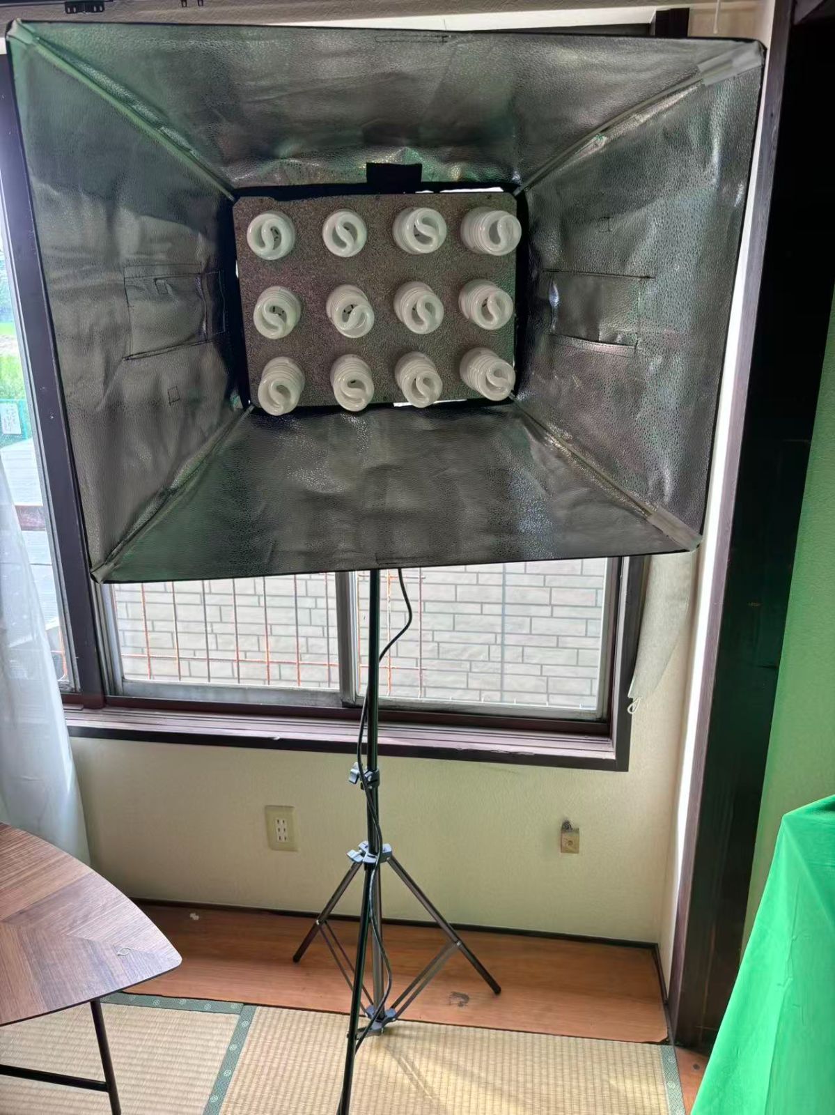 TOKISTAR 定常光ライト Beglight tk シリーズ tk-12n TS-573-B 特別 スタジオ撮影用品 カメラ用品 ライト