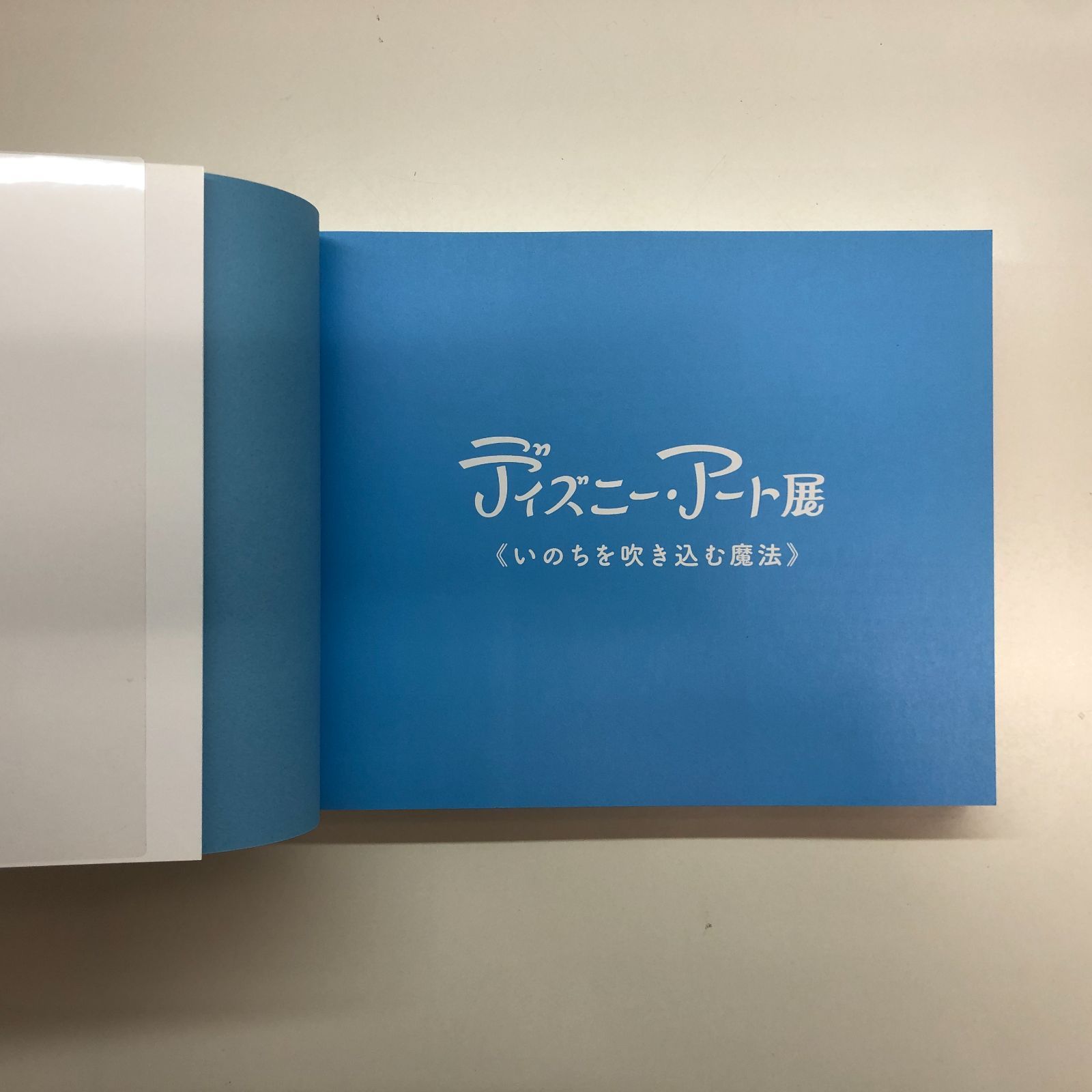ディズニー・アート展 いのちを吹き込む魔法 図録 ディズニーアート展 〈いのちを吹き込む魔法〉 図録 - メルカリ