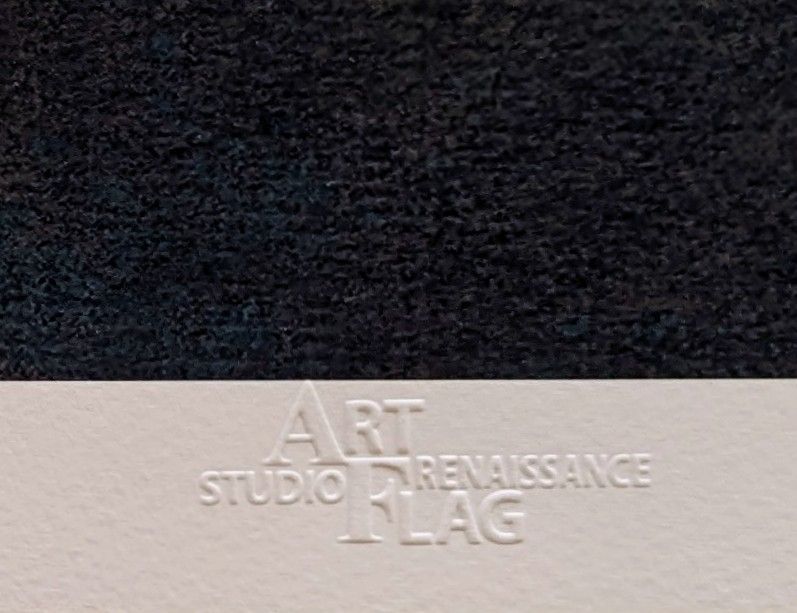 エドガー・ドガ「エトワール」ピエゾグラフ 高品質版画 STUDIO