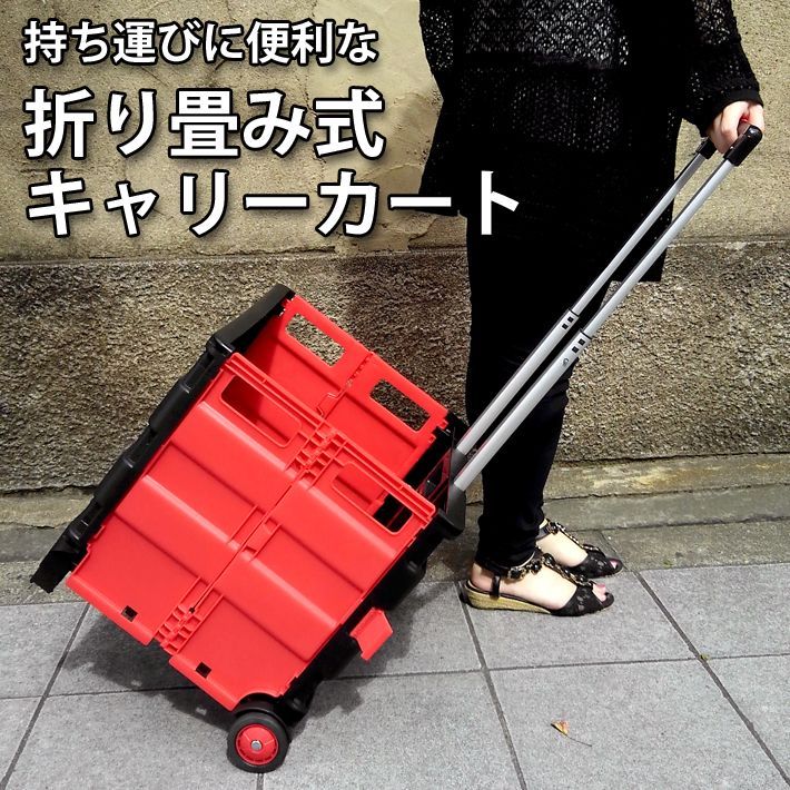 新品 未使用 折りたたみ式 キャリーカート 大 ショッピング 新品 未使用 折りたたみ式 キャリーカート 大 ショッピング