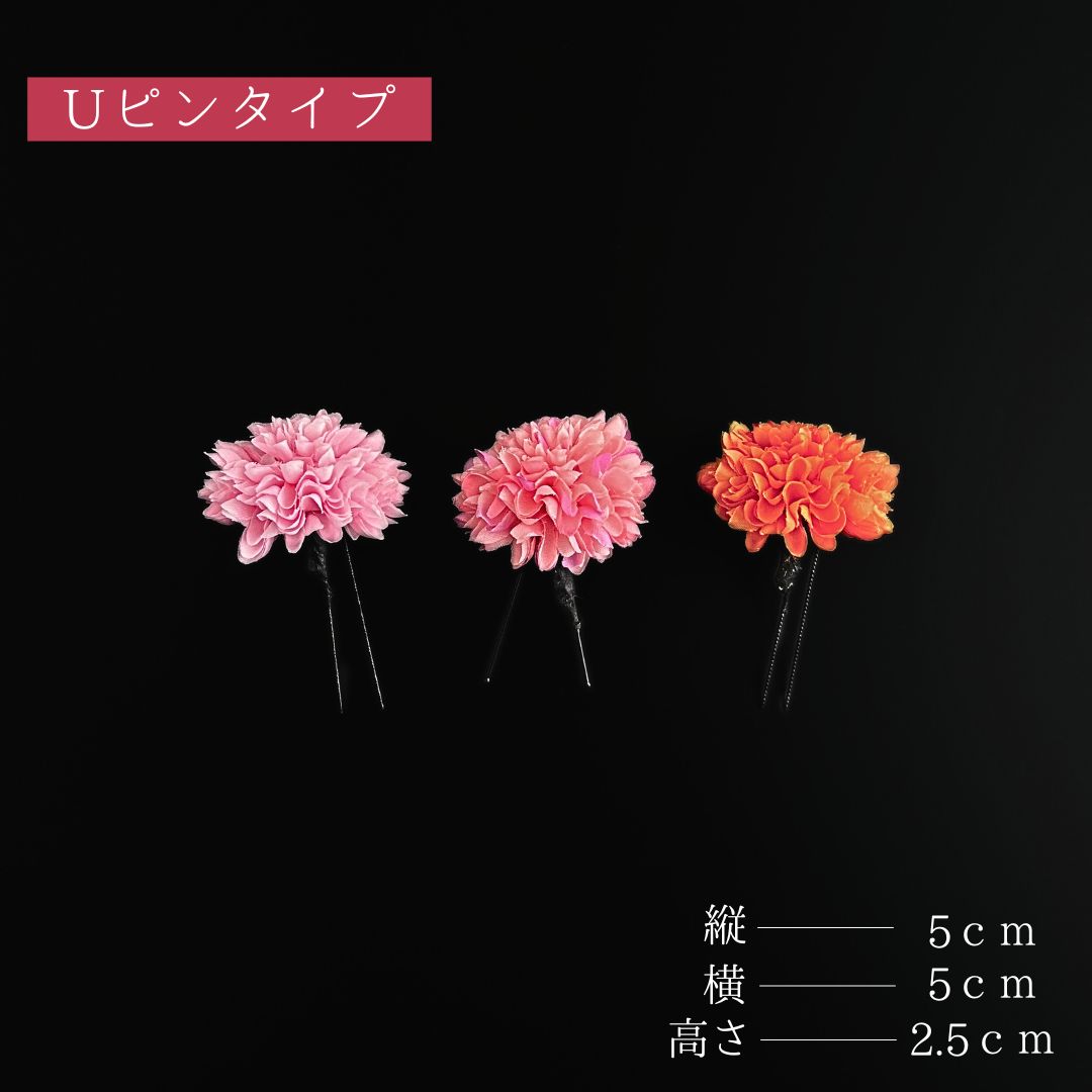 10点セット