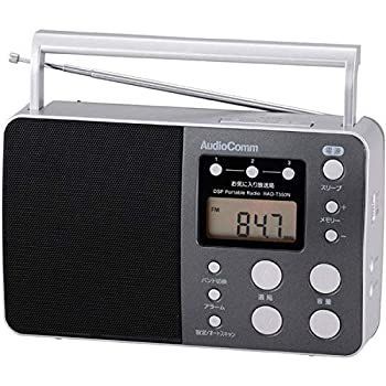オーム電機 DSPポータブルラジオ RAD-T550N