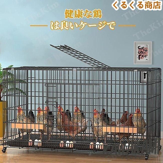 アクリルケージ 360度 小動物 鳥 モモンガ バードケージ ルーム