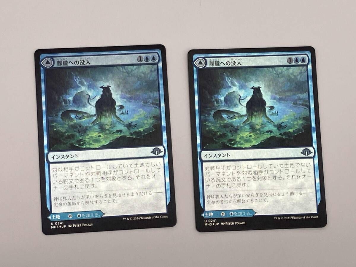 モダホラ3 エラーカード 朦朧への没入/爆ぜ鳴りの滝 foil MTG 朦朧への没入 foil モダンホライゾン3版 2枚セット プレイ用