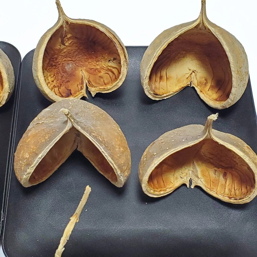 ナチュラルベージュ ハンドメイド花材