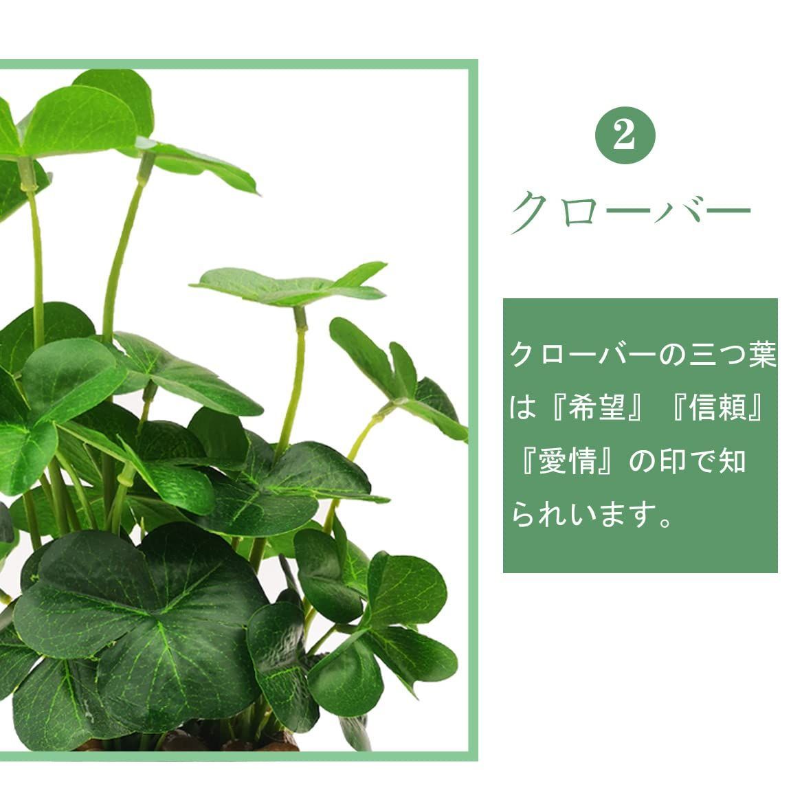 フェイク 観葉植物