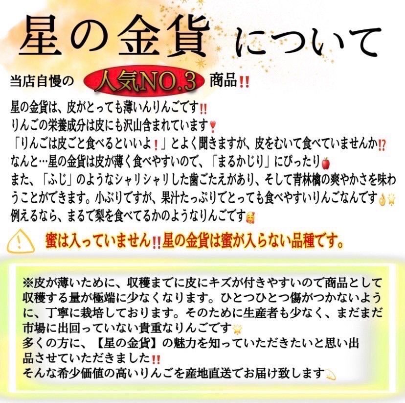 青森県産 最大4種ミックス りんご【B品5kg】【送料無料】【農家直送】ふじ-2