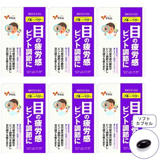 やわた 北の国から届いた ブルーベリー 30日分 6袋セット 機能性表示食品 ビルベリー アントシアニン 目 サプリ 眼精疲労
