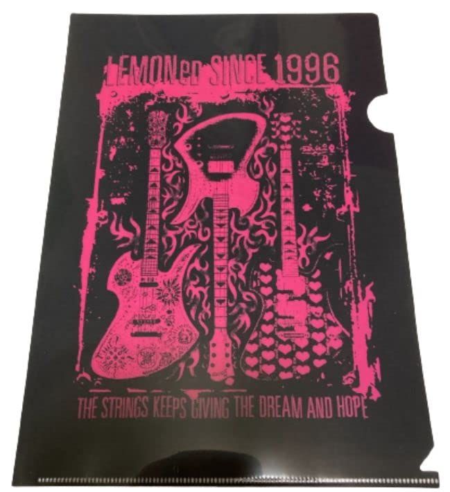 hide X Japan クリアファイル A4 灰*貨様 hide XJAPAN 直筆サイン入りA4