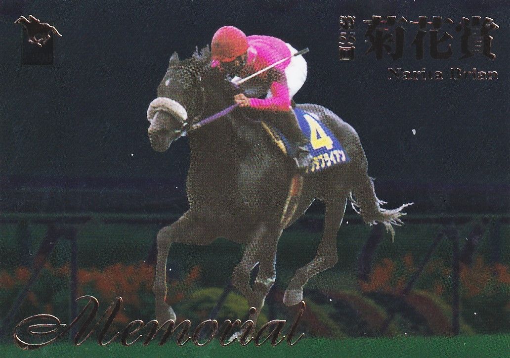 ナリタブライアン：第55回 菊花賞「サラブレッドカード 00年下半期