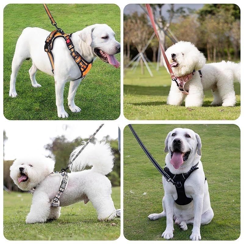 Amazon | Laimerx 2匹用 犬 リード 大型犬 中型犬 伸縮リード 犬