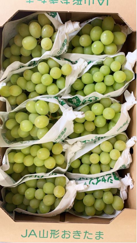 山形産 シャインマスカット 秀 約5kg