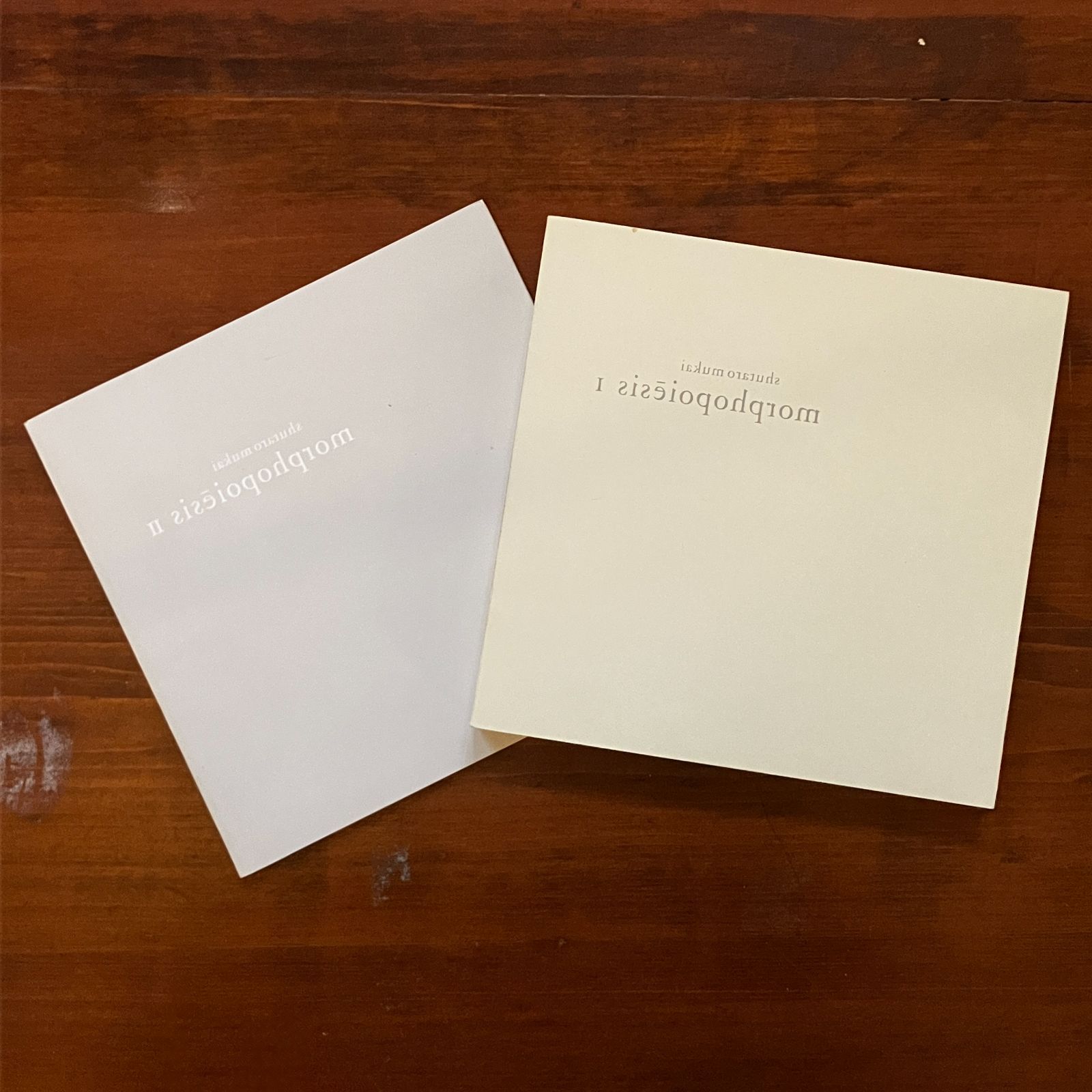 向井周太郎コンクリート・ポエトリー選集　かたちの詩学 かたちの詩学 : morphopoiēsis(著 : 向井周太郎 ; 装幀 : 原研哉 ; 文