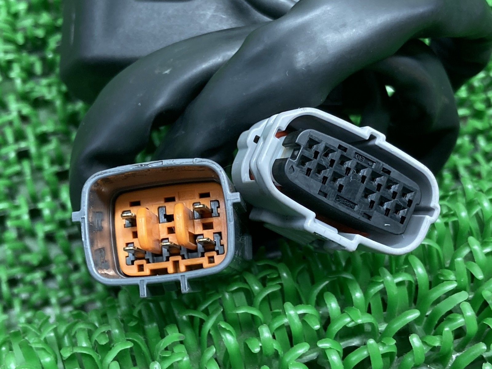 左 トライアンフ