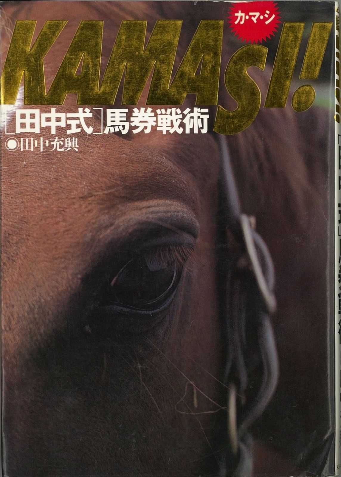 KAMASI田中式馬券戦術