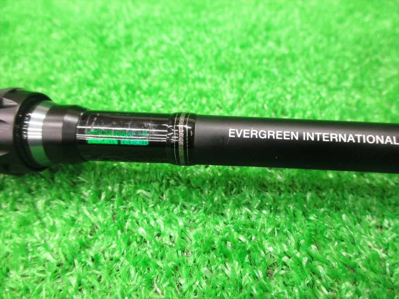 エバーグリーン オライオン