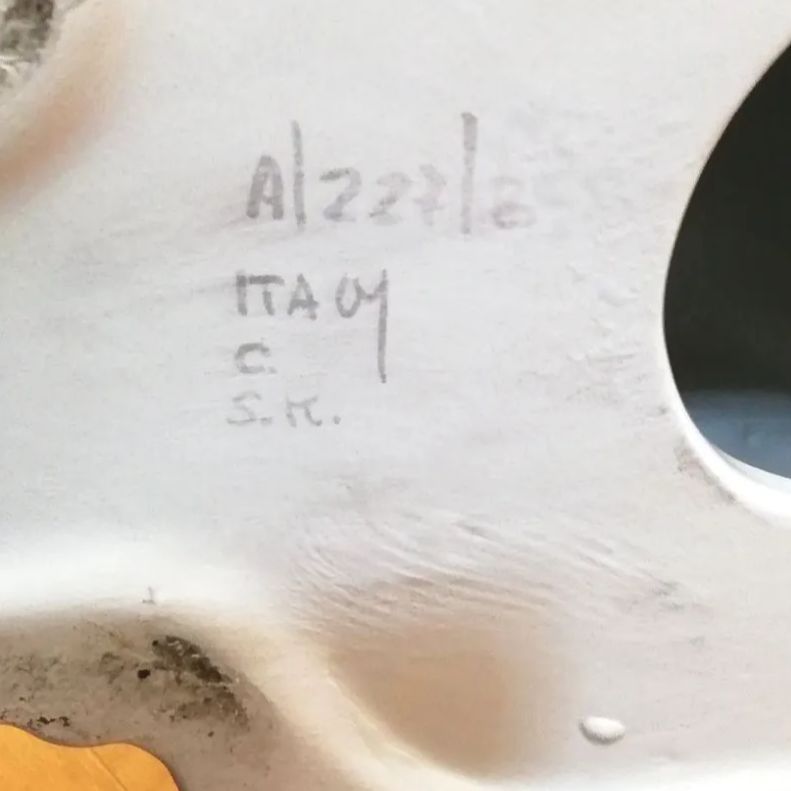 アフガンハウンド イタリア製 大型犬 犬 置物 陶器 新品未使用