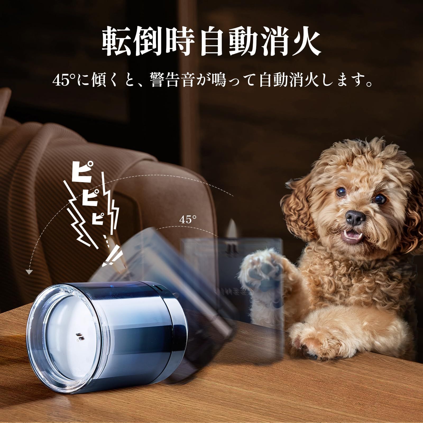 ソイワックス 300g