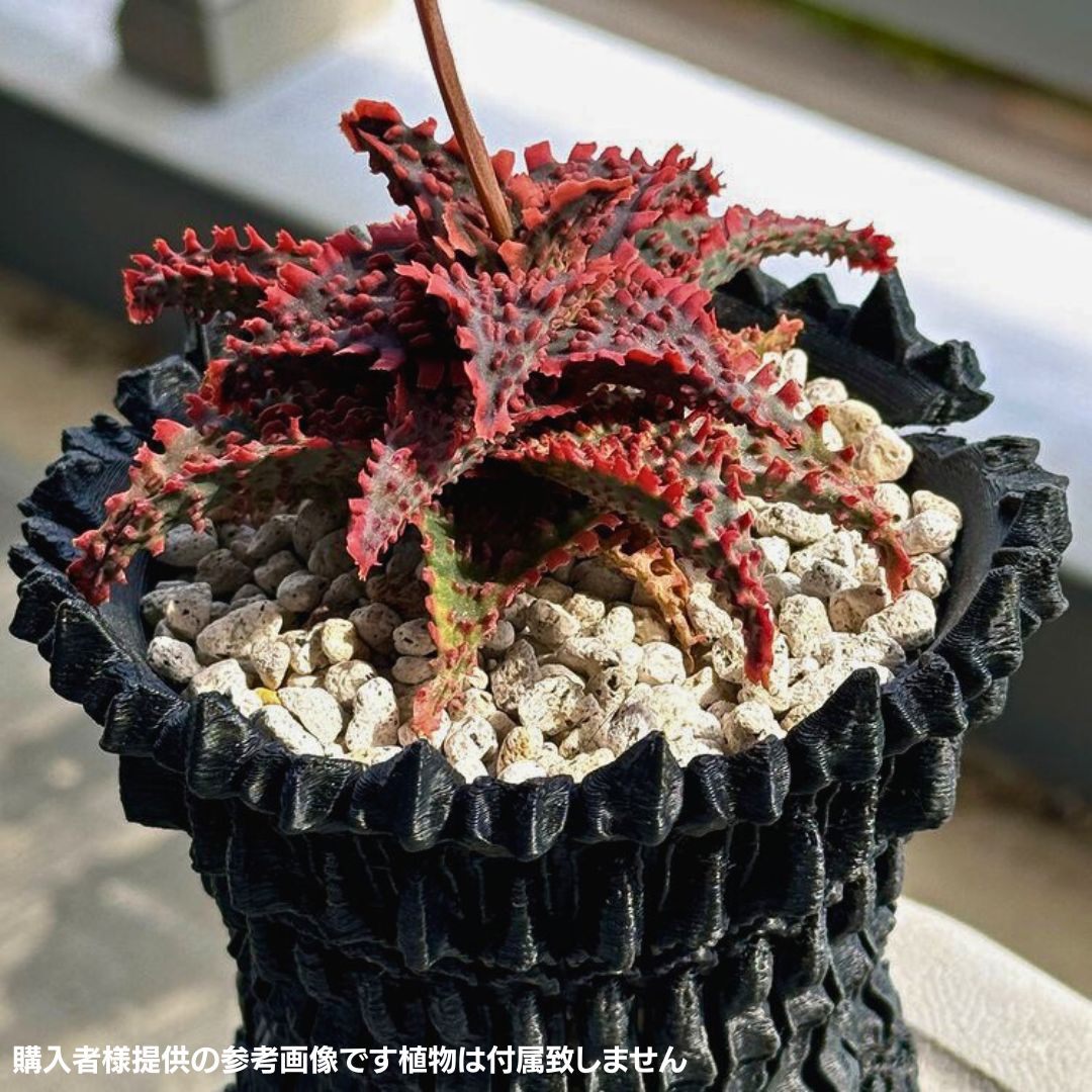 3Dプリント鉢 3Dプリンター鉢 作家鉢 植木鉢 Green5【ZARU201S