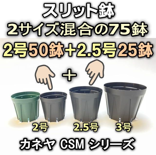 スリット鉢-2号50鉢(黒or緑)＋2.5号25鉢(黒)⇒75鉢セット(カネヤ