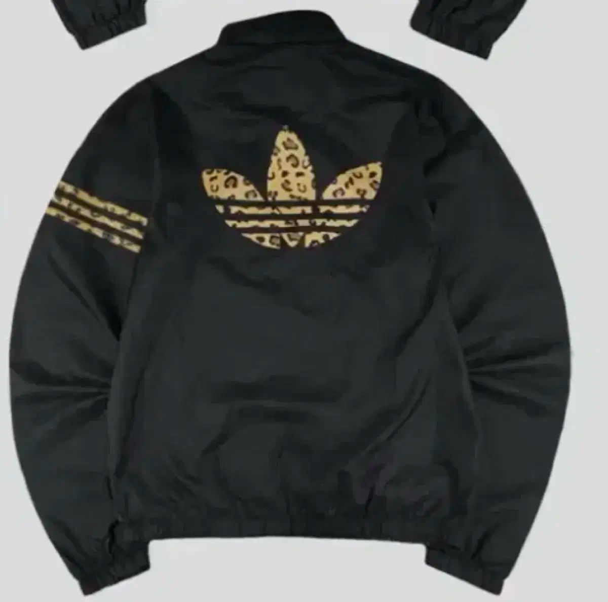 レア！！adidasトレフォイル ヒョウ柄ナイロンジャケット 綾小路翔着用