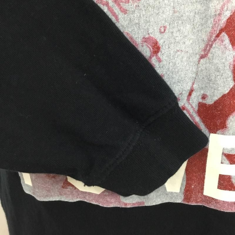 ANDSUNS アンドサンズ カットソー 長袖 長袖カットソー プリントT