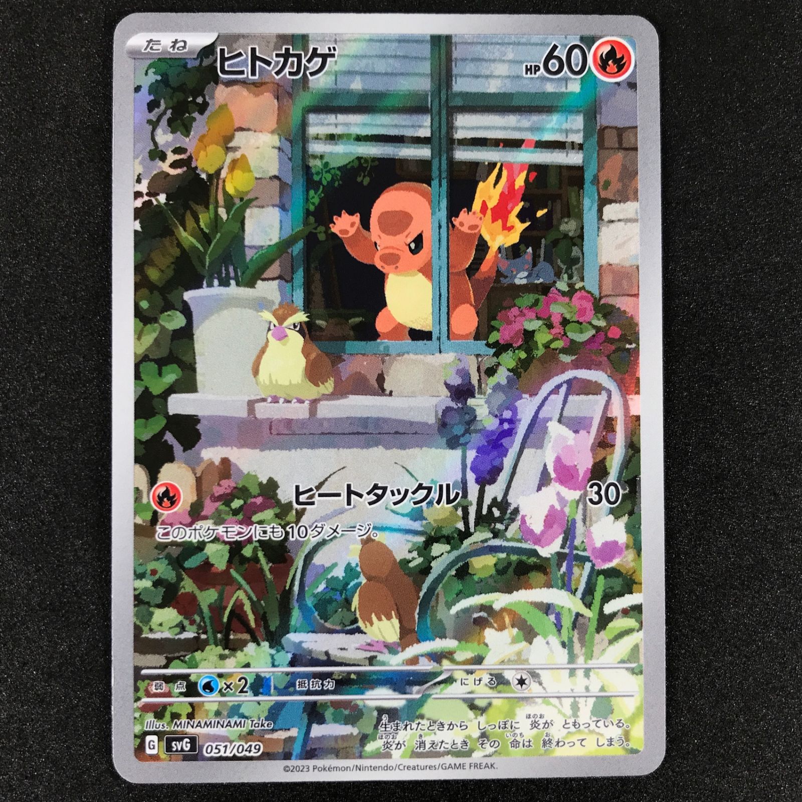 【2枚セット】ヒトカゲ AR ゼニガメ svG 051/049 2枚セット】ヒトカゲ AR ゼニガメ svG 051/049 - メルカリ