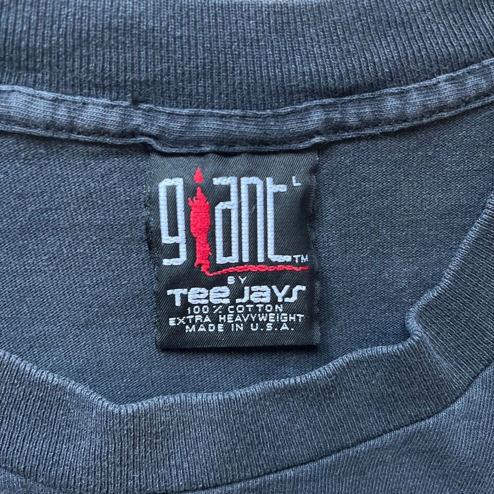 エアロスミス GIANT TEE JAYS ビンテージ Tシャツ