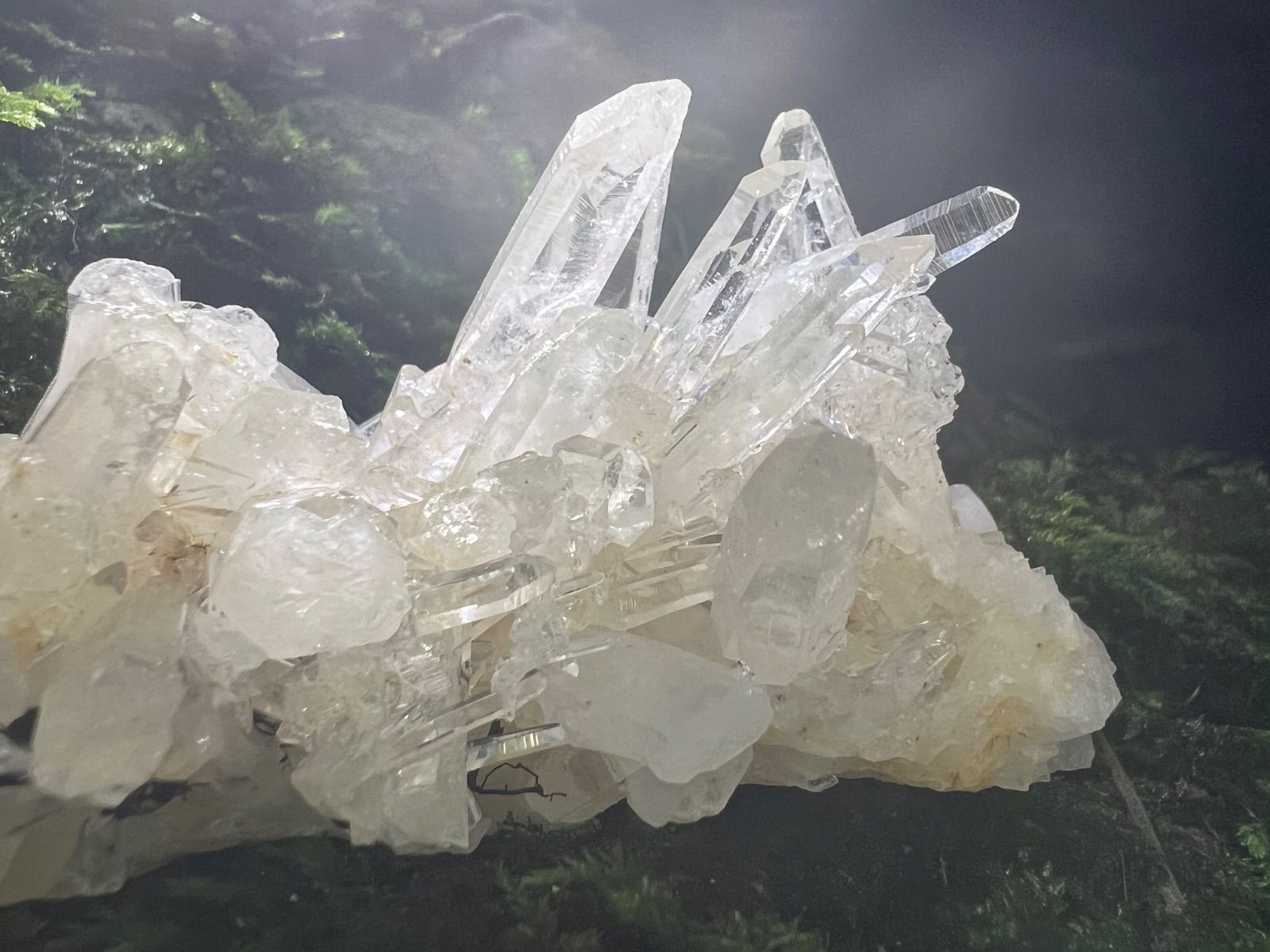 龍脈の精髄 ― 宮崎産 水晶クラスター 聖域を生む調和の結晶 保護猫活動支援