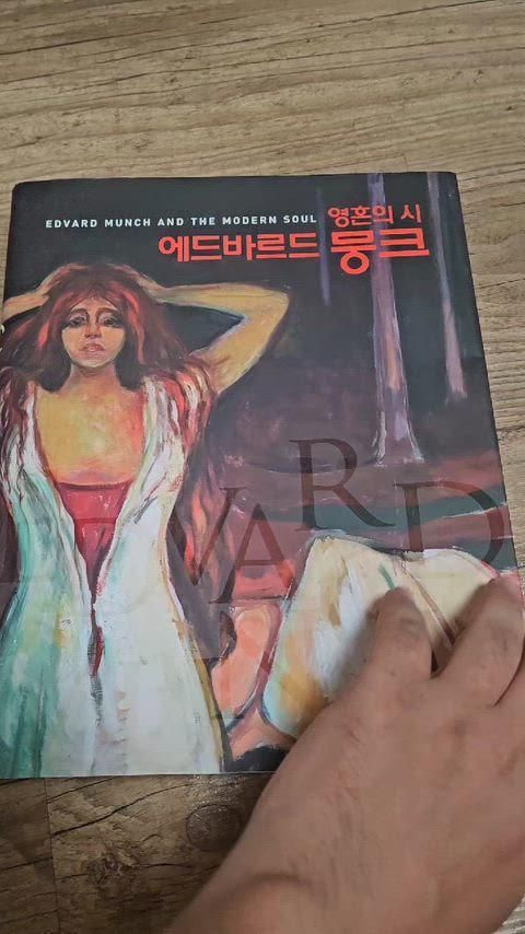 エドヴァルド ムンク カタログ ムンク画集 洋書 Amazon.co.jp