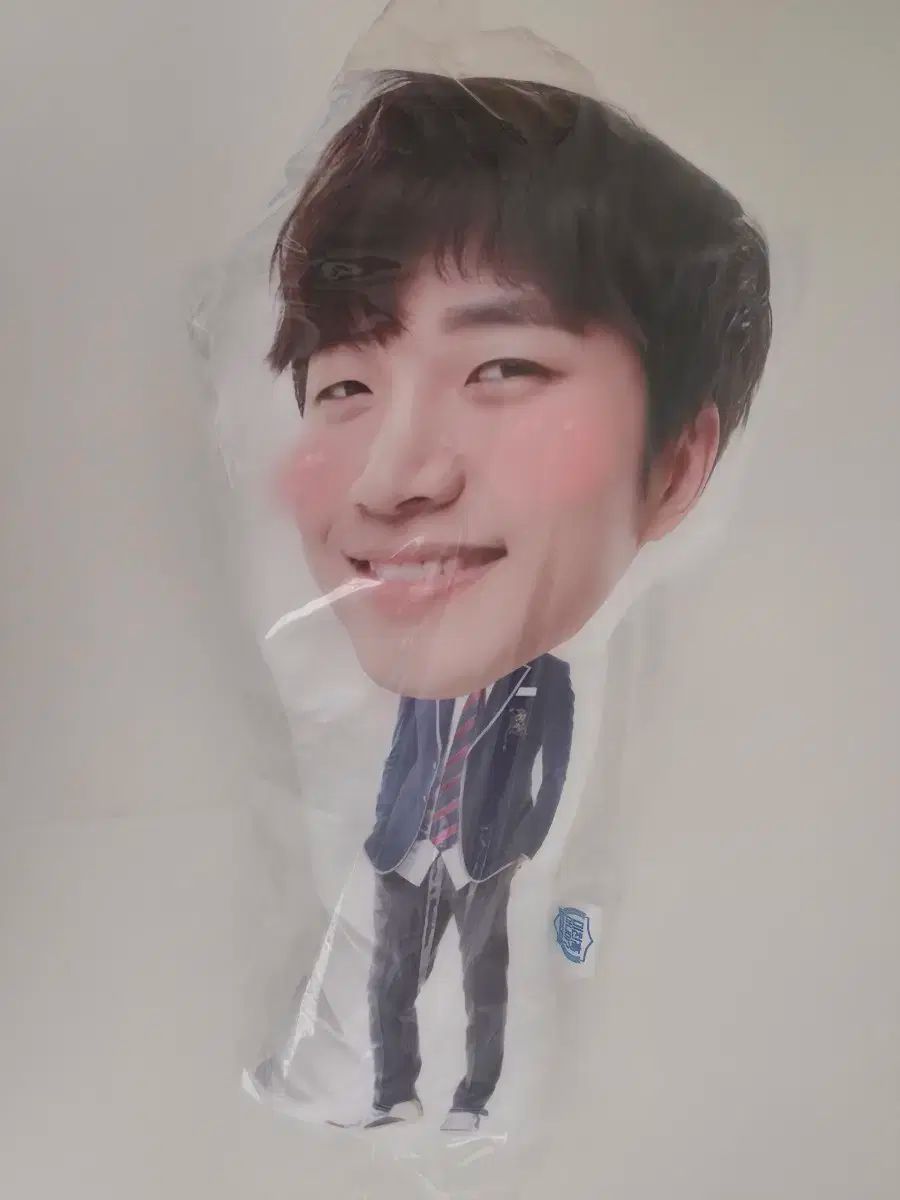 2pm イ ジュノ LEE JUNHO クレイジー キャラクタードール