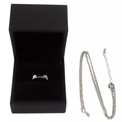 ラプラスダークネス活動1周年記念グッズ ぷらすめいとリング 中古