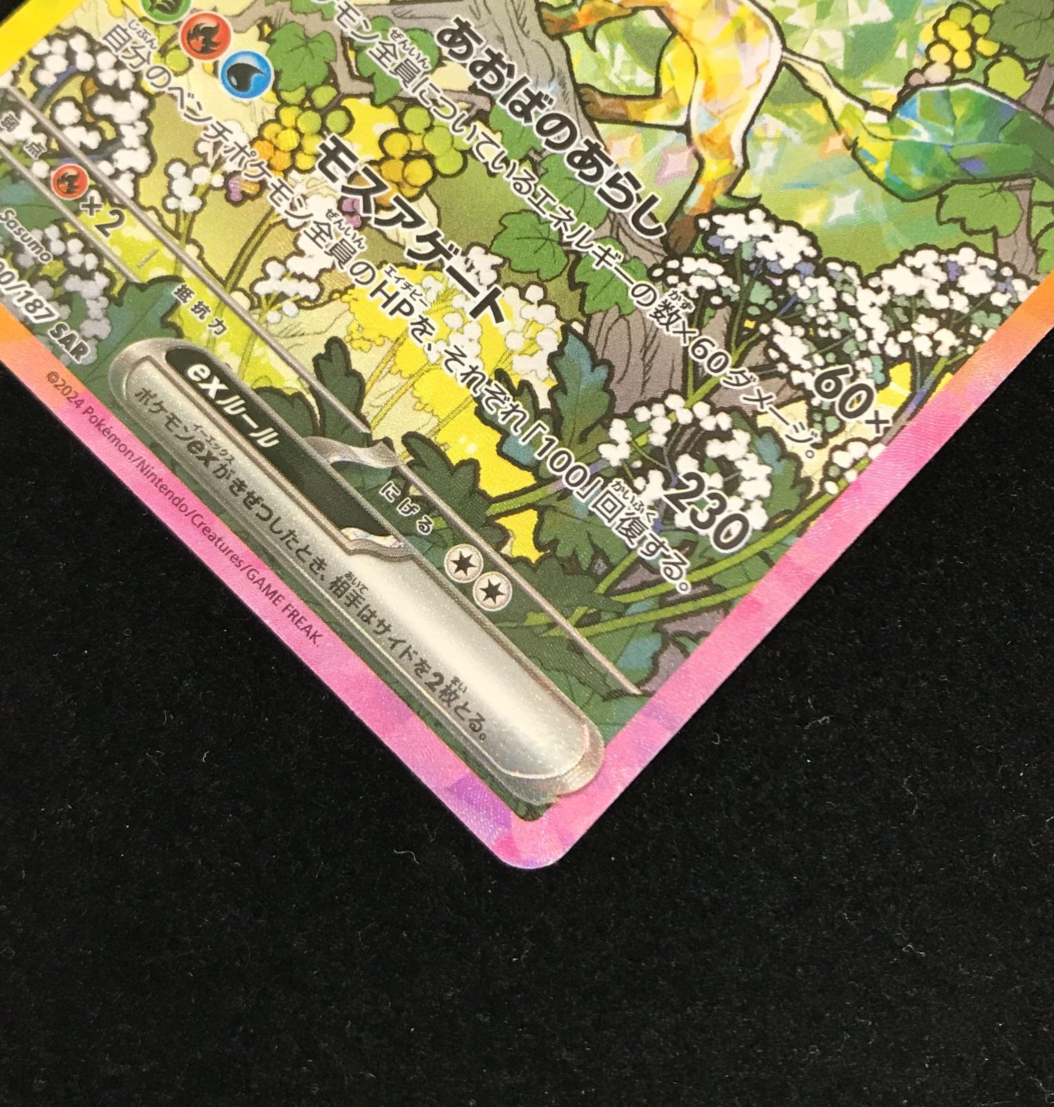 リーフィアex SAR ポケモンカード　テラスタルフェス Amazon.co.jp: ポケモンカードゲームSV sv8a ハイクラスパック