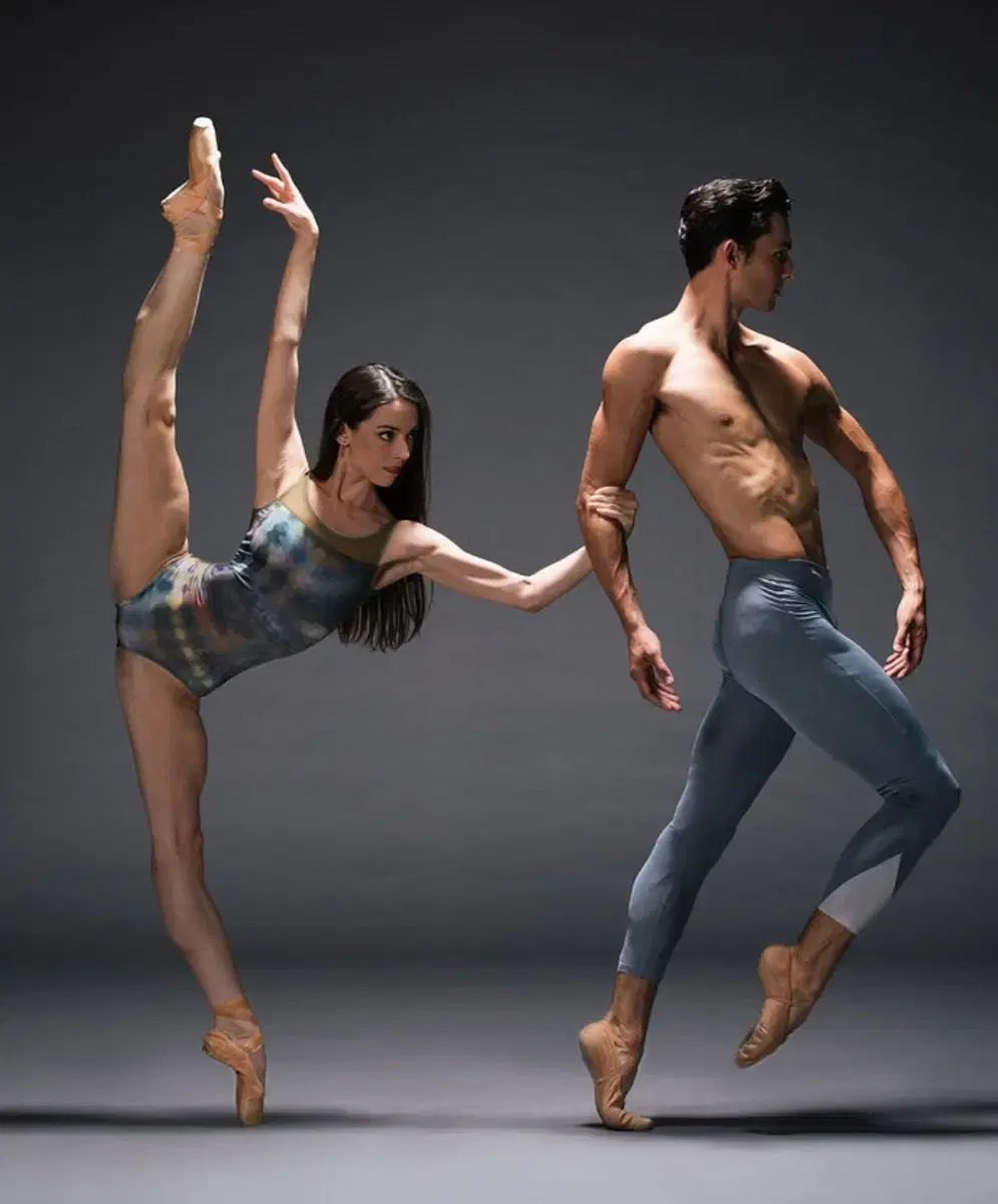 Barreto Dancewear バレエ レオタード Leotards | barretodancewear